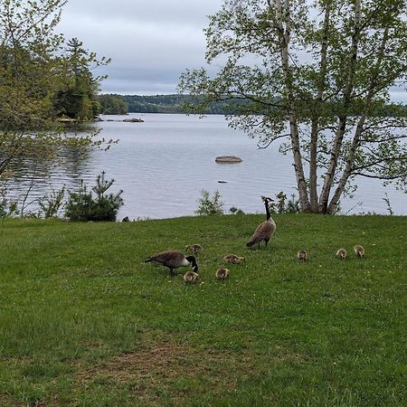 Alamoosook Lakeside Inn Orland Eksteriør billede